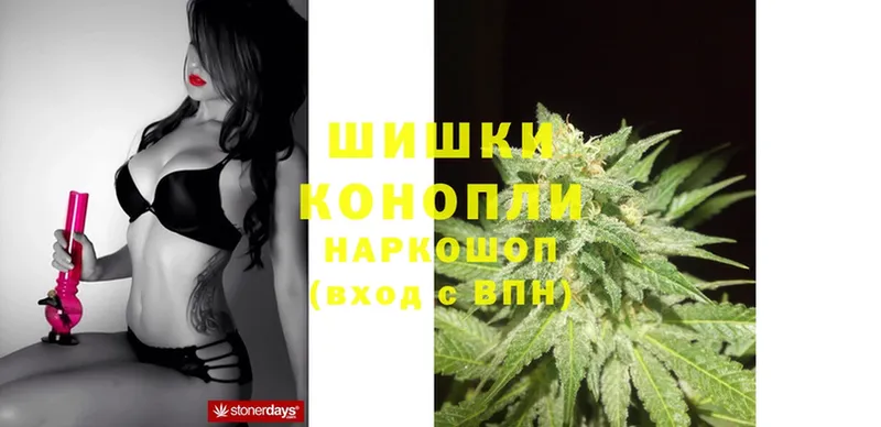 Канабис SATIVA & INDICA  Дагестанские Огни 